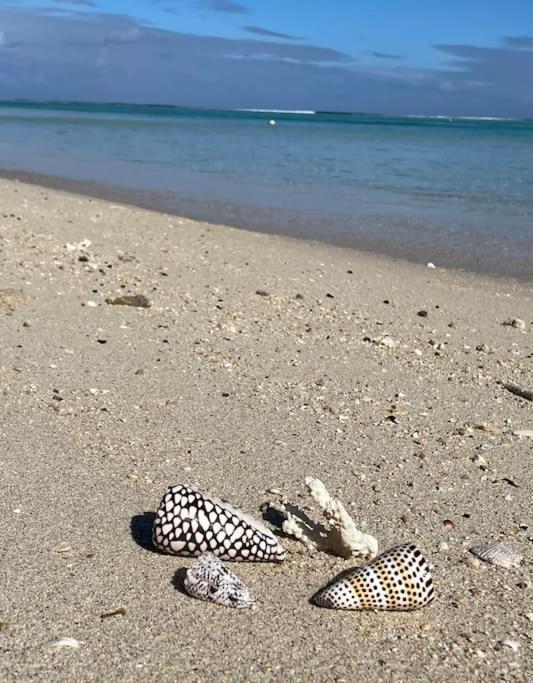 Villa La Playa Pieds Dans L'Eau Lagon + Piscine Saint-Gilles-les Bains Exteriér fotografie